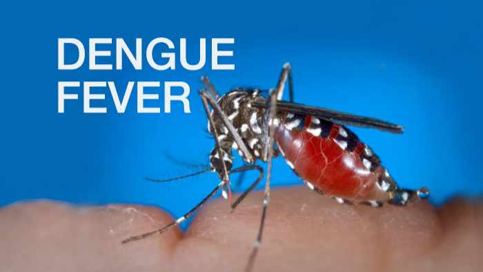 Saint Lucia confirms nearly 900 cases of dengue, 365 others suspected