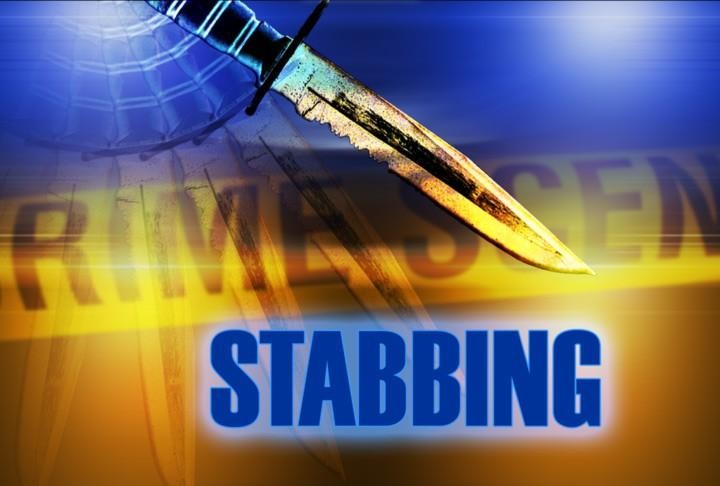 Willikies man charged after brutal stabbing rampage