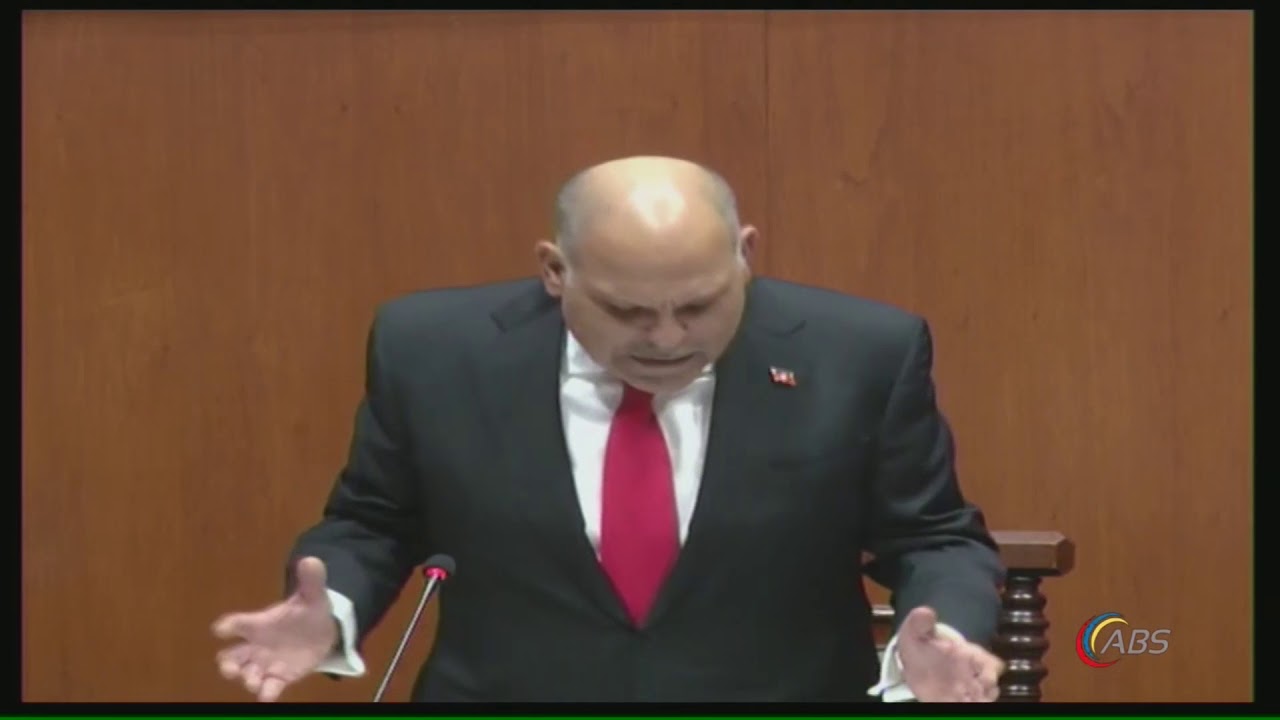 VIDEO: Budget Presentation by St. Peter MP Asot Michael