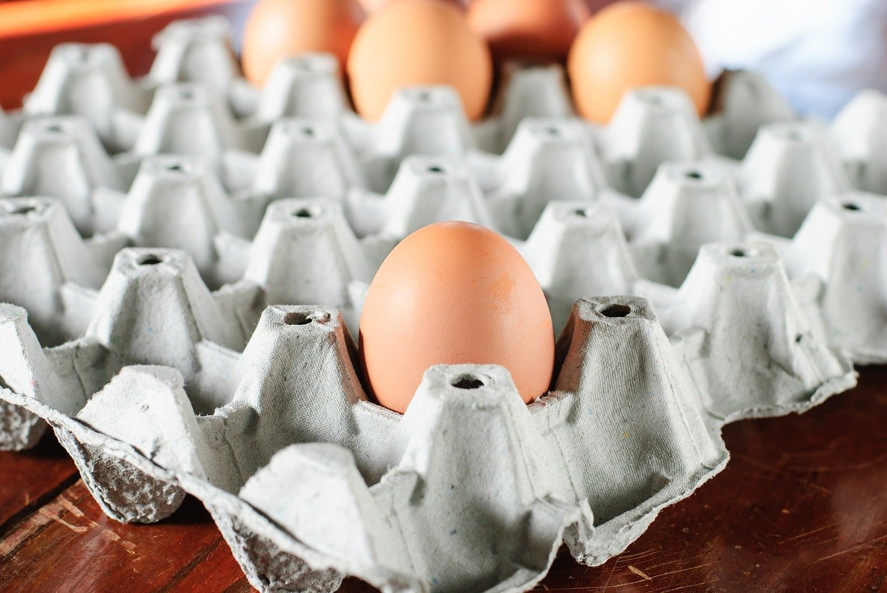 Antigua experiencing egg shortage