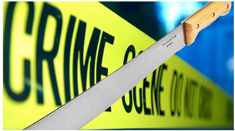 Machete used in altercation leaving 2 men injured and homes damaged