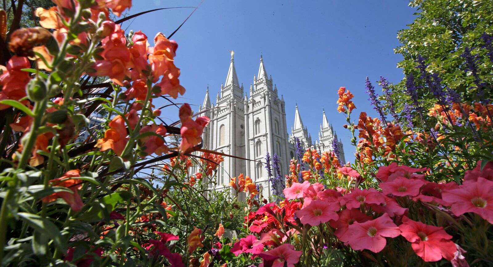 Mormon church comes out in support of same-sex marriage law