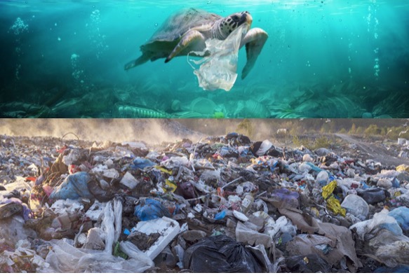 Our Planet Versus Plastic Bags—A Tale of Two Cities
