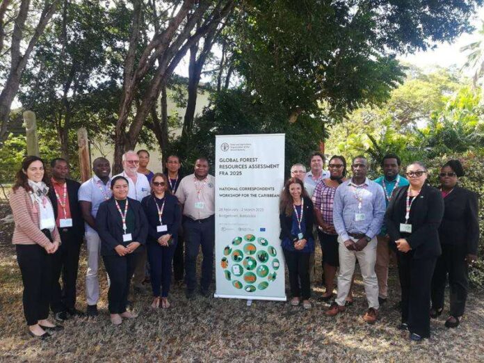 Antigua and other Caribbean countries kick off Global Forest Resources Assessment 2025 data collection