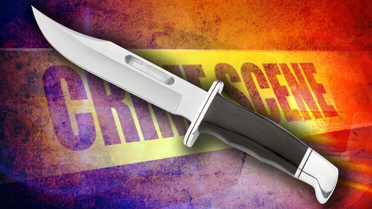 2 men found carrying cleaver and knives: police