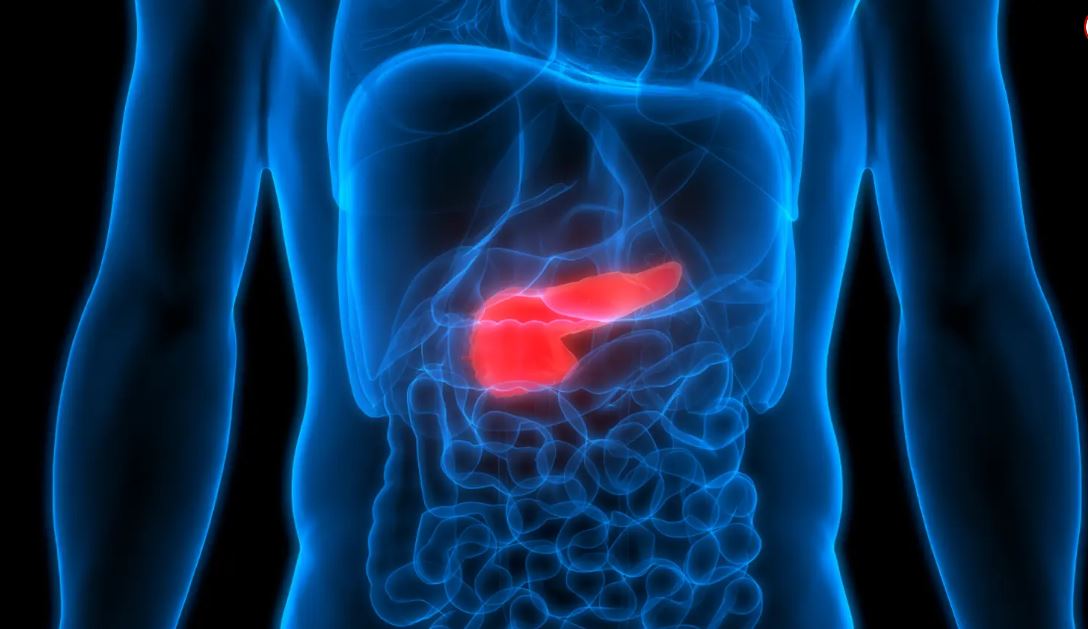 Vaccine for ‘silent killer’ pancreatic cancer shows promise: study