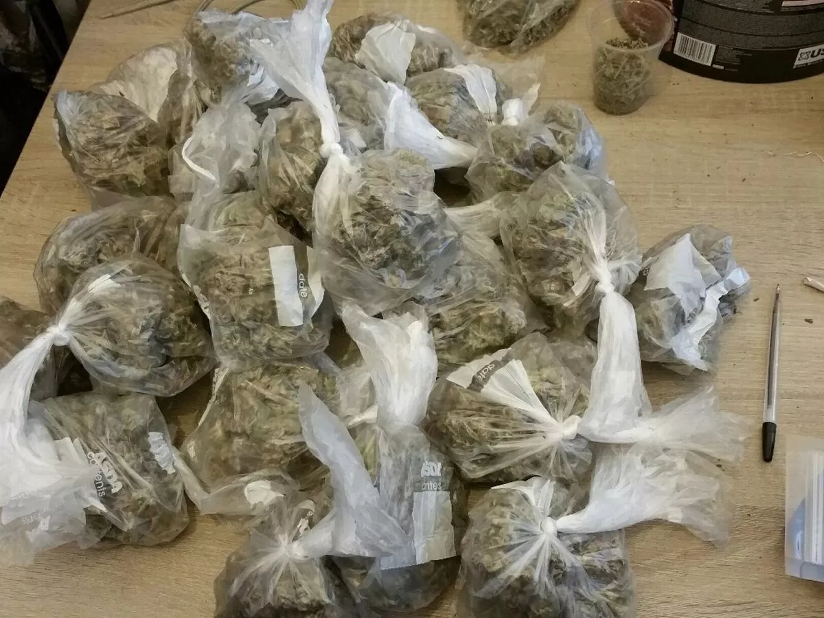 Cannabis valued at $126K seized at Antigua Airport