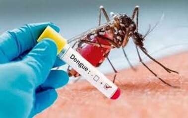CBH urges dengue vigilance due to endemic status