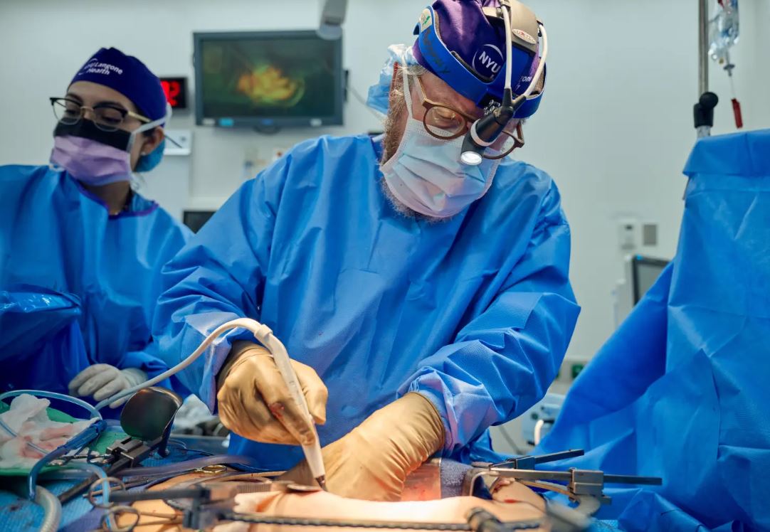 Brain-dead man receives pig kidney. Transplant could become a game-changer