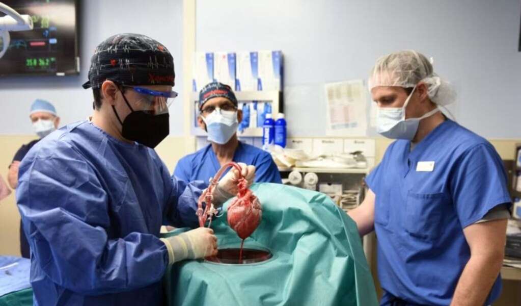 US experts carry out second pig-to-human heart transplant